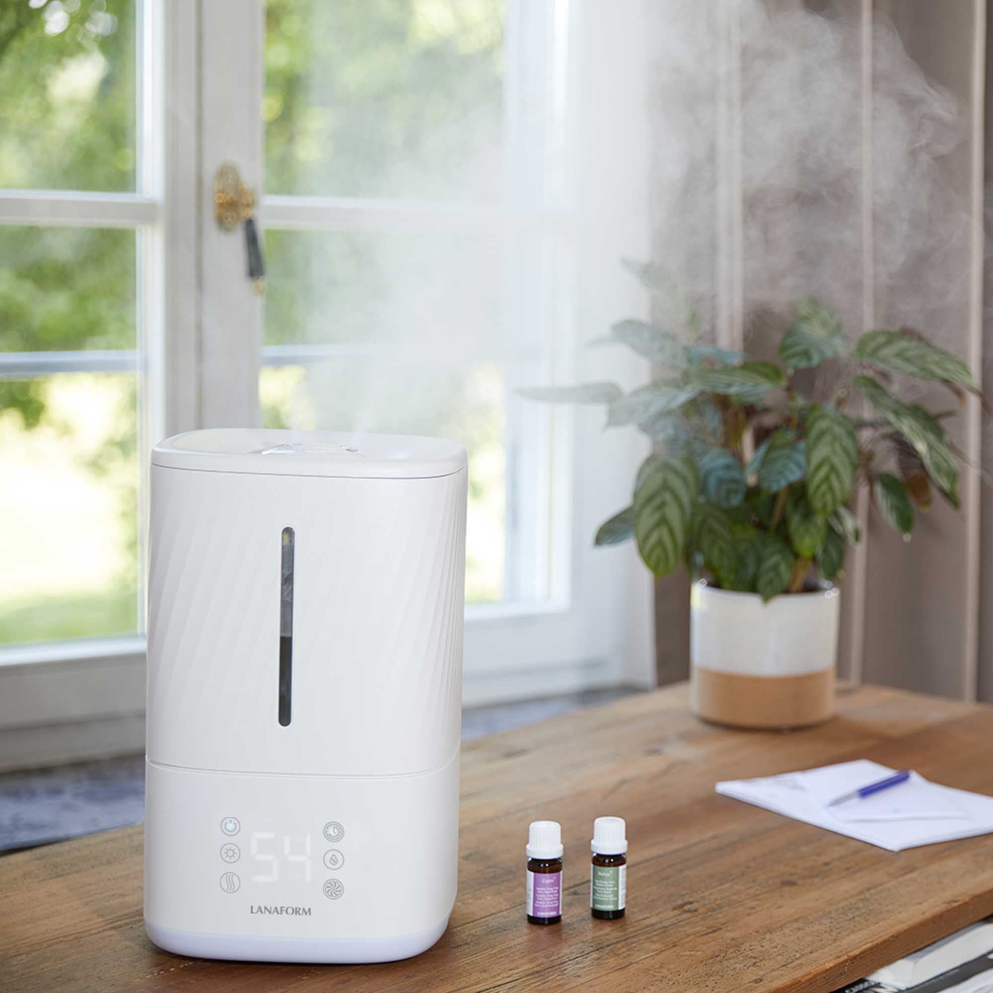 Humidificateur vapeur froide et tiède - Napo