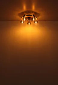 Ventilateur métal noir mat et lampe  - Lamotta