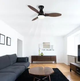 Ventilateur de plafond métal noir mat et lampe - Gale