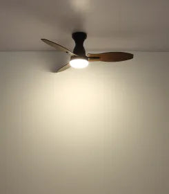 Ventilateur de plafond métal noir mat et lampe - Gale