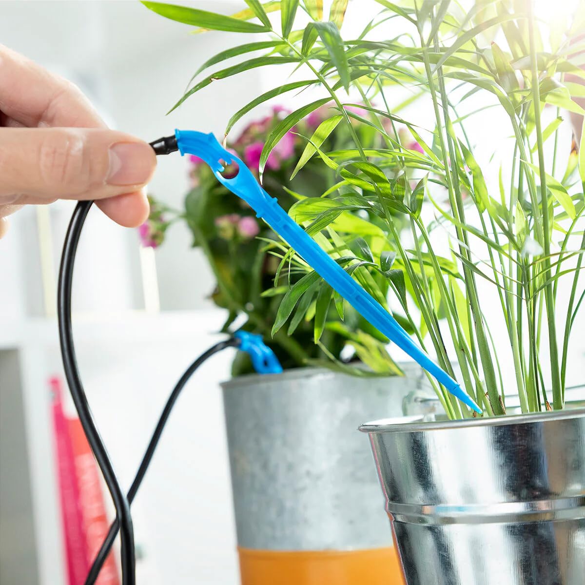 Système d’Arrosage Goutte-à-goutte Automatique pour Pots