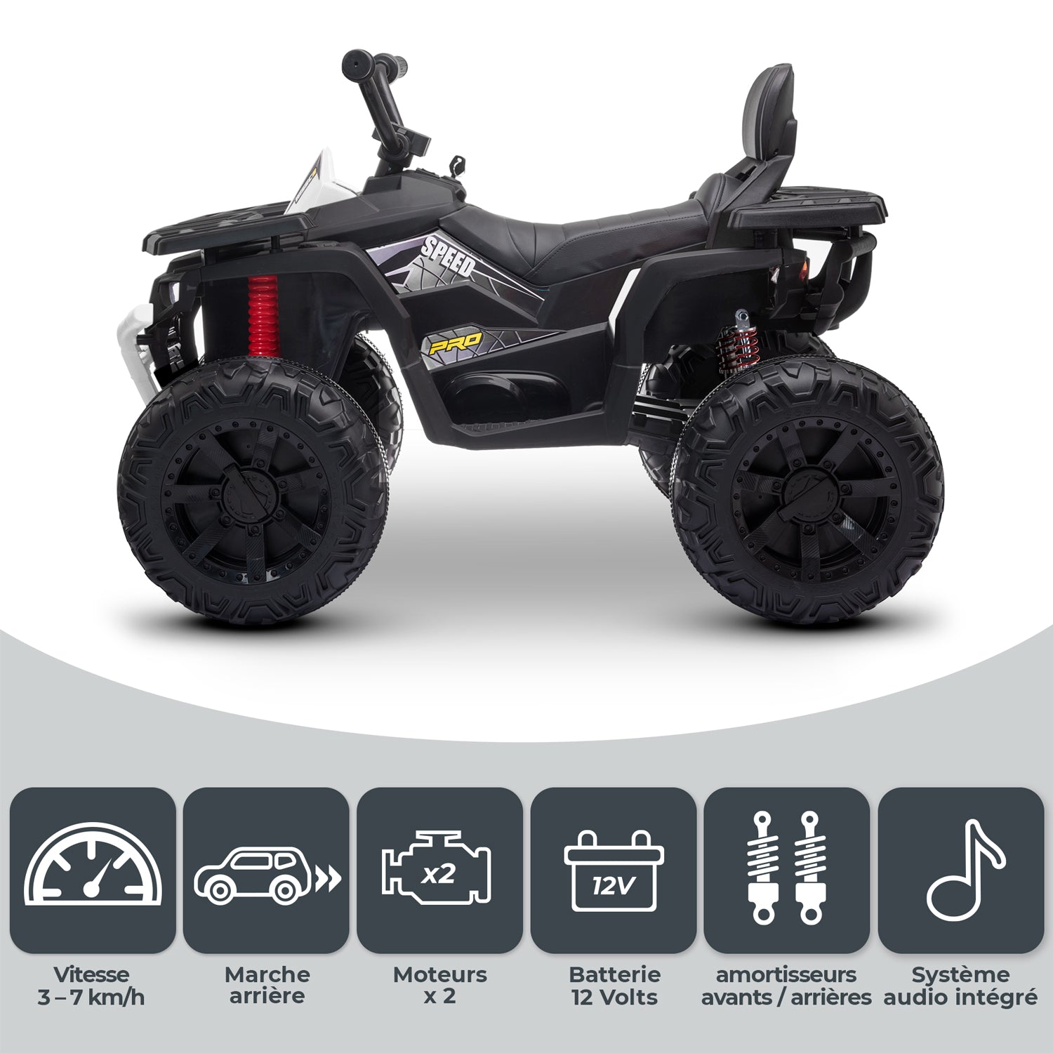 Quad electrique