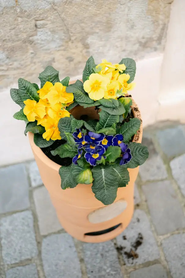 Pot de fleurs composteur