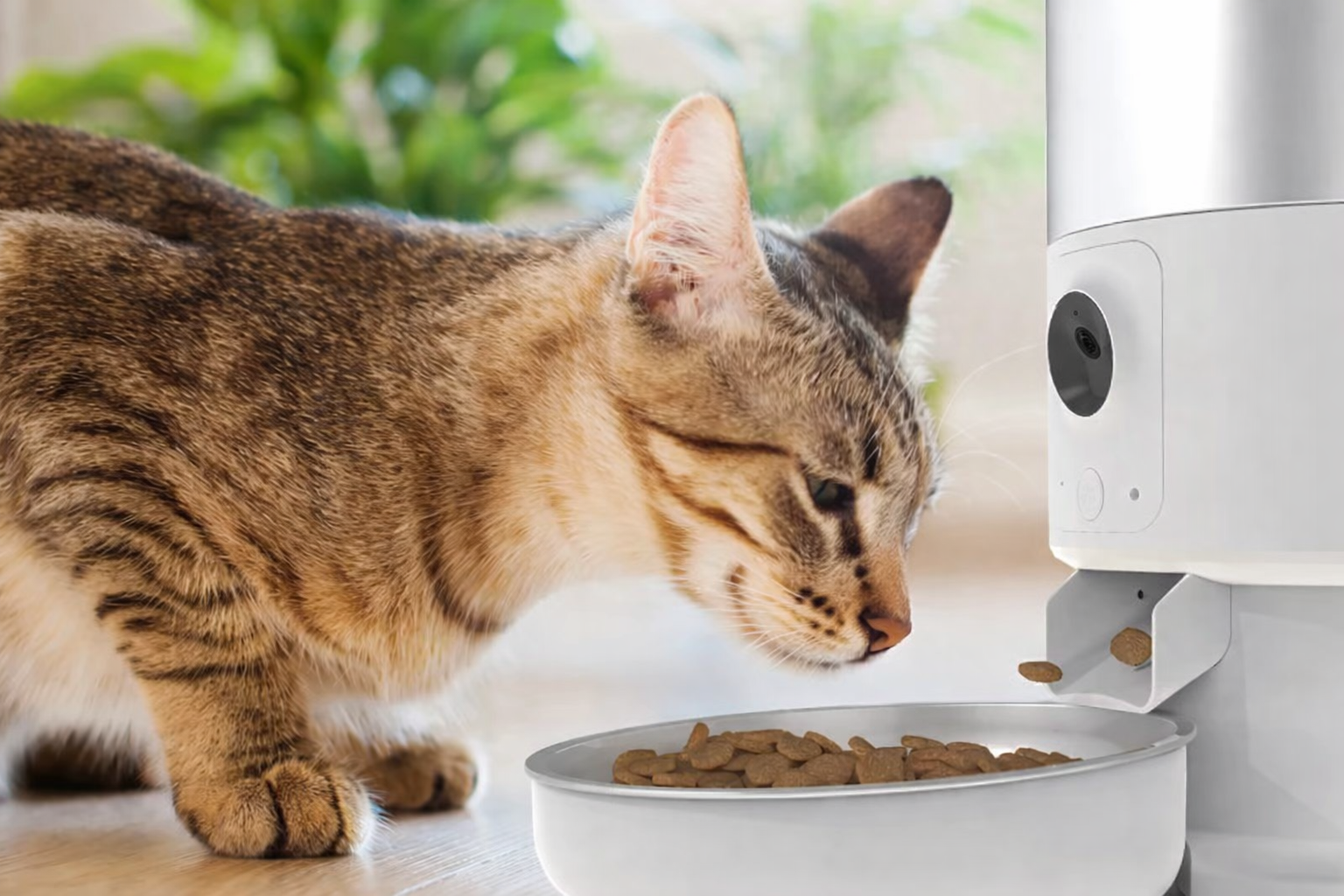 Gamelle intelligente pour chien ou chat 5L