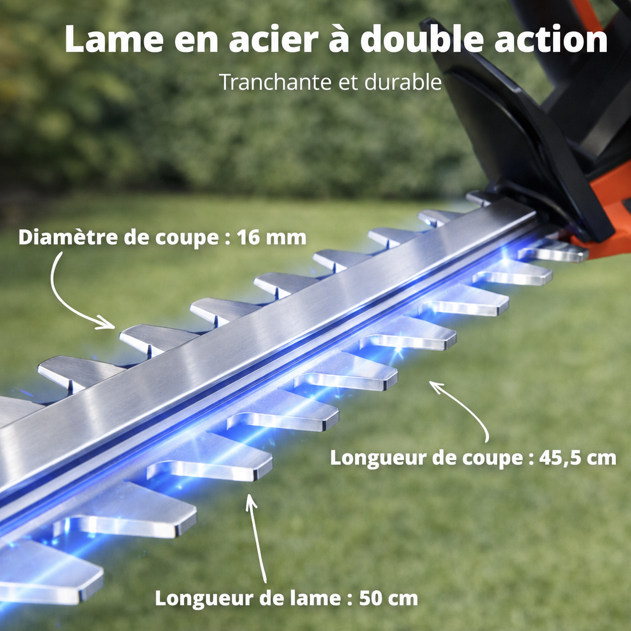 Taille-haies 50 cm + batterie 20 V et chargeur