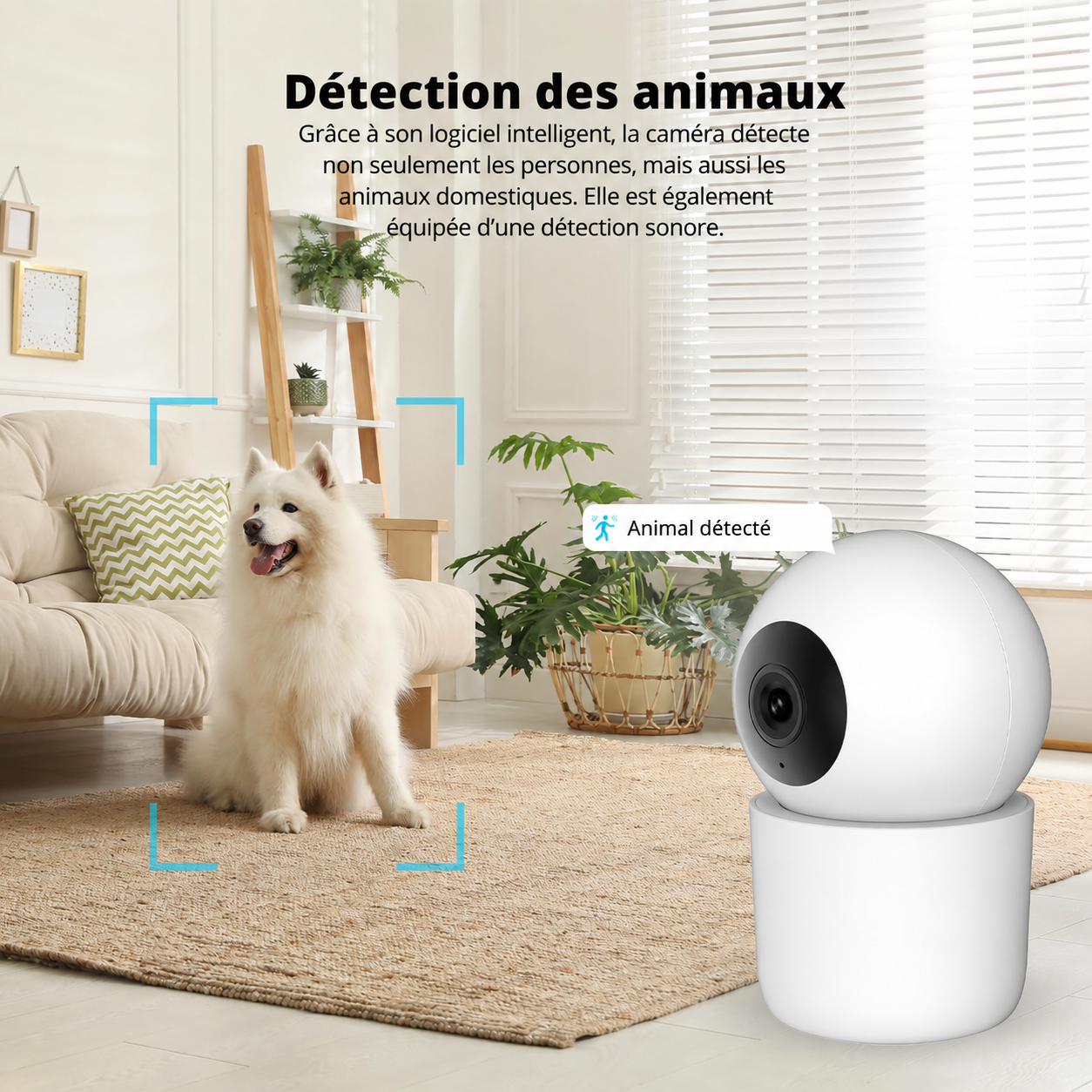 Caméra intérieure de mouvement intelligente FlinQ