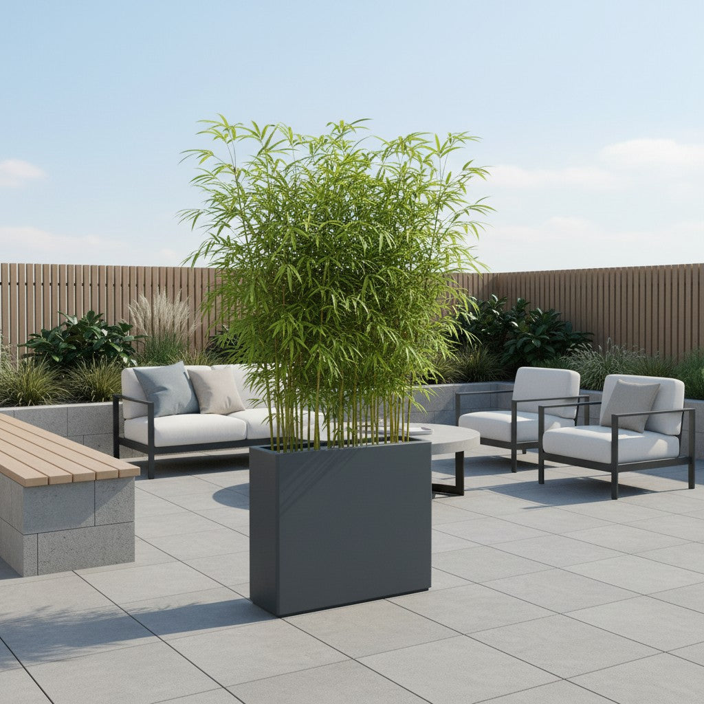 Jardinière haute Helios - 900 x 300 x 800 mm - Gris anthracite