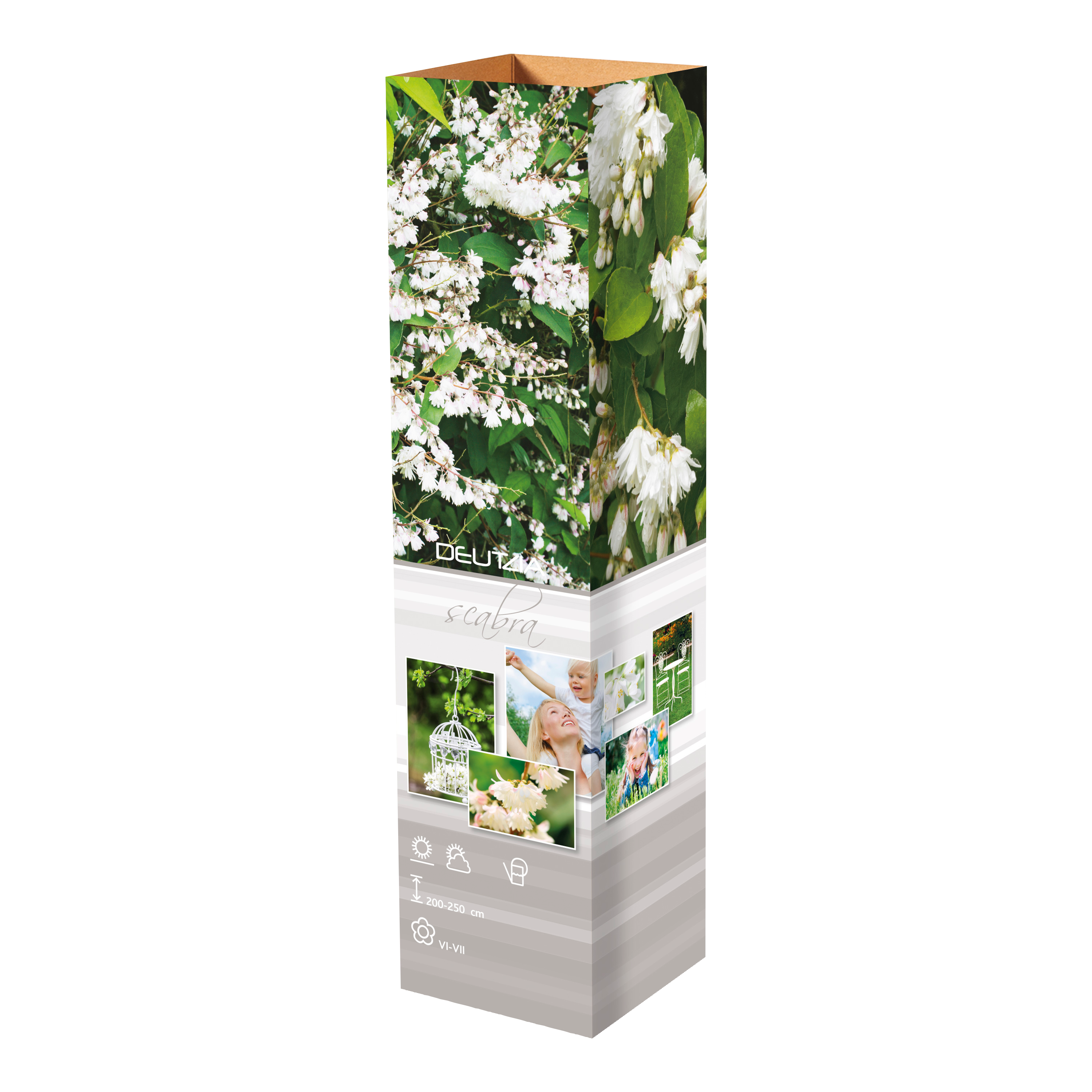 Lot de 8 arbustes d'ornement, mélange coloré pour un jardin vivant : 2 Hibiscus, 2 Weigelia, 2 Deutzia, 2 Forsythia