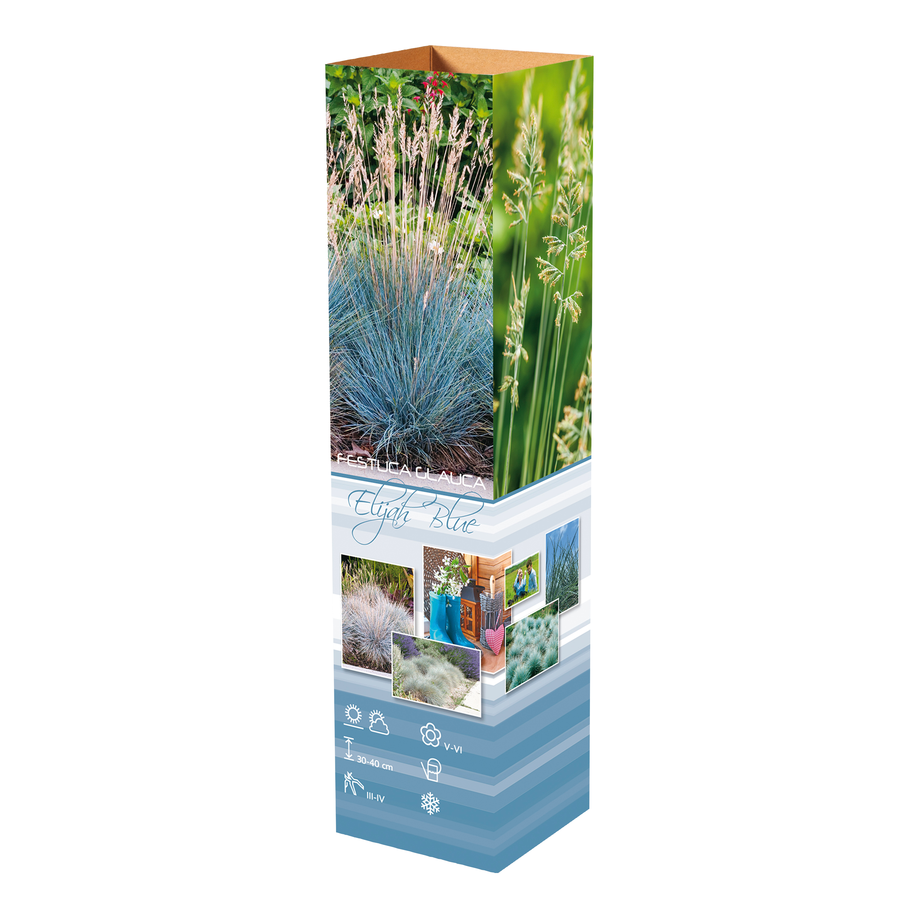 Lot de 8 graminées: 2 Pennisetum, 2 Liriopes, 2 Imperata, 2 Festuca,