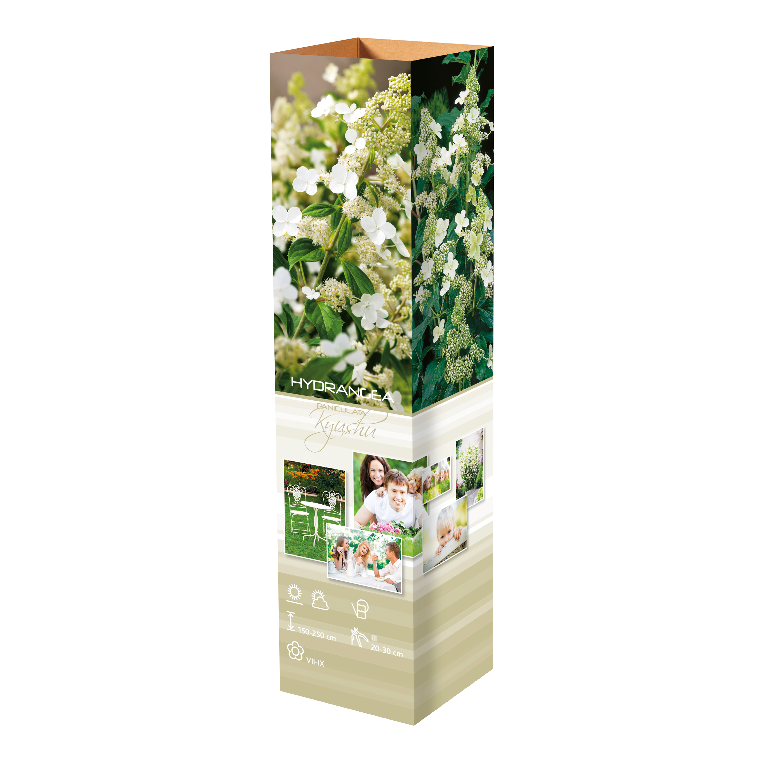 Lot de 8 hortensias : 2 roses blancs,  2 roses, 2 bleus, 2 blancs - 30-38 cm