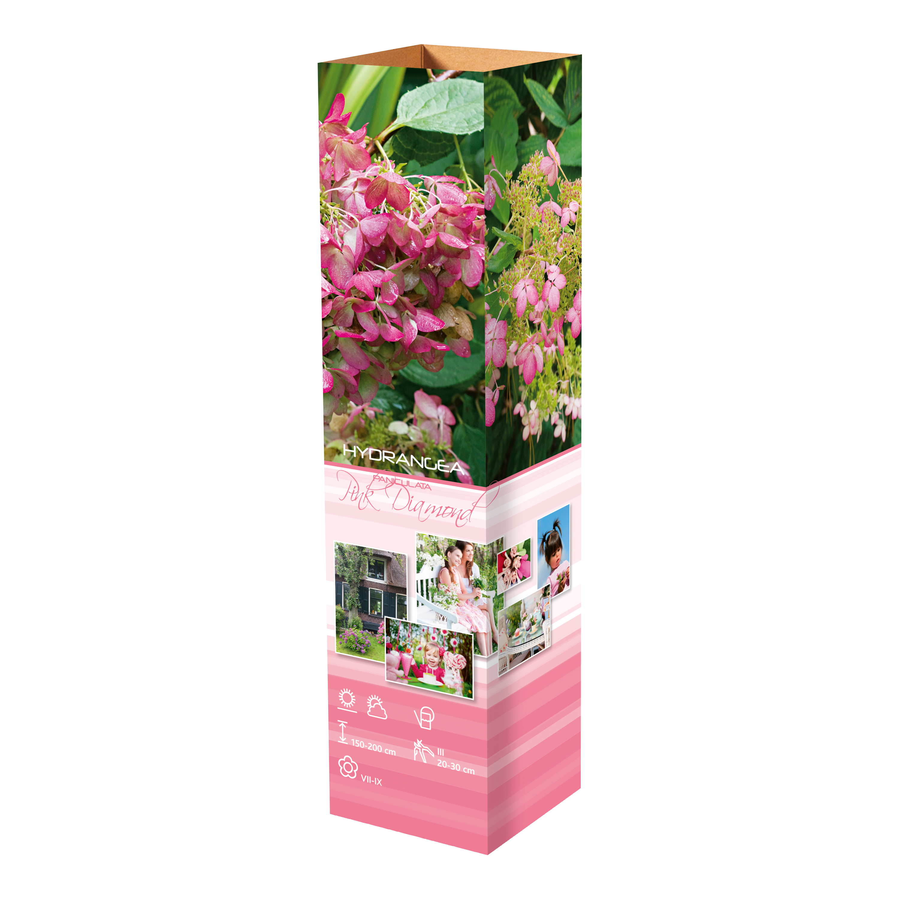 Lot de 8 hortensias : 2 roses blancs,  2 roses, 2 bleus, 2 blancs - 30-38 cm