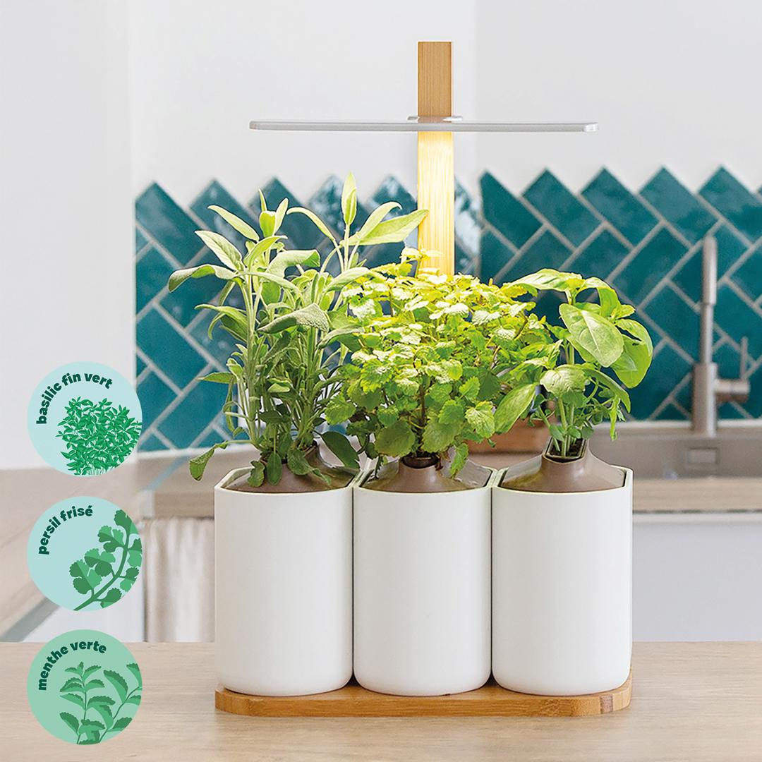Lilo aromates - livré avec 3 capsules de basilic fin, persil frisé et menthe verte.
