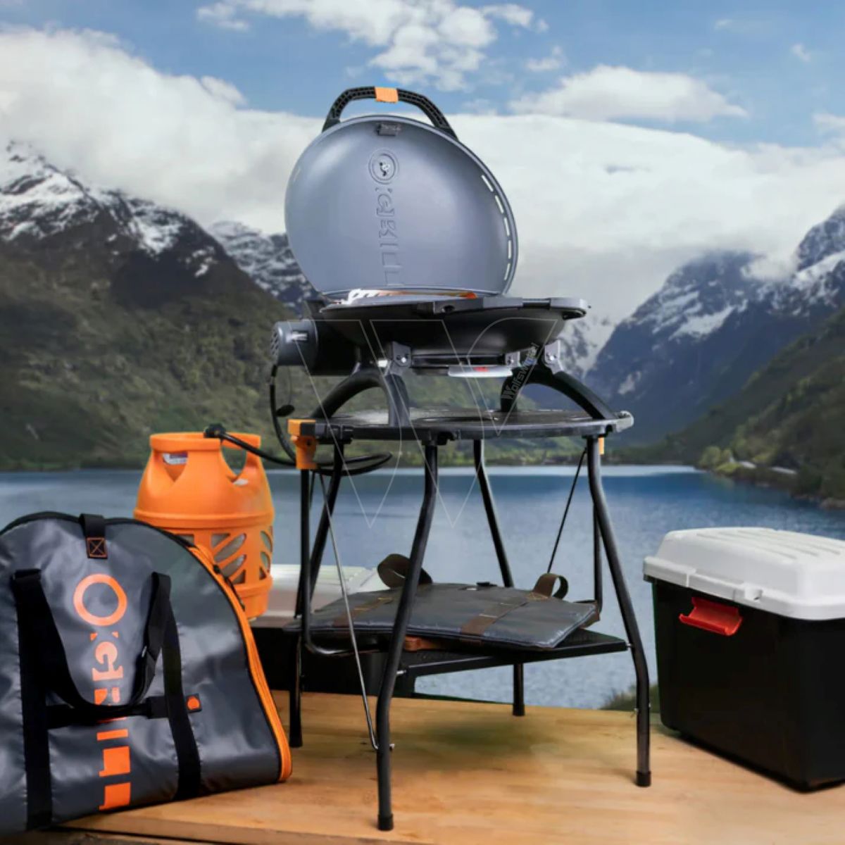 Barbecue gaz compact portable O- grill 900 noir