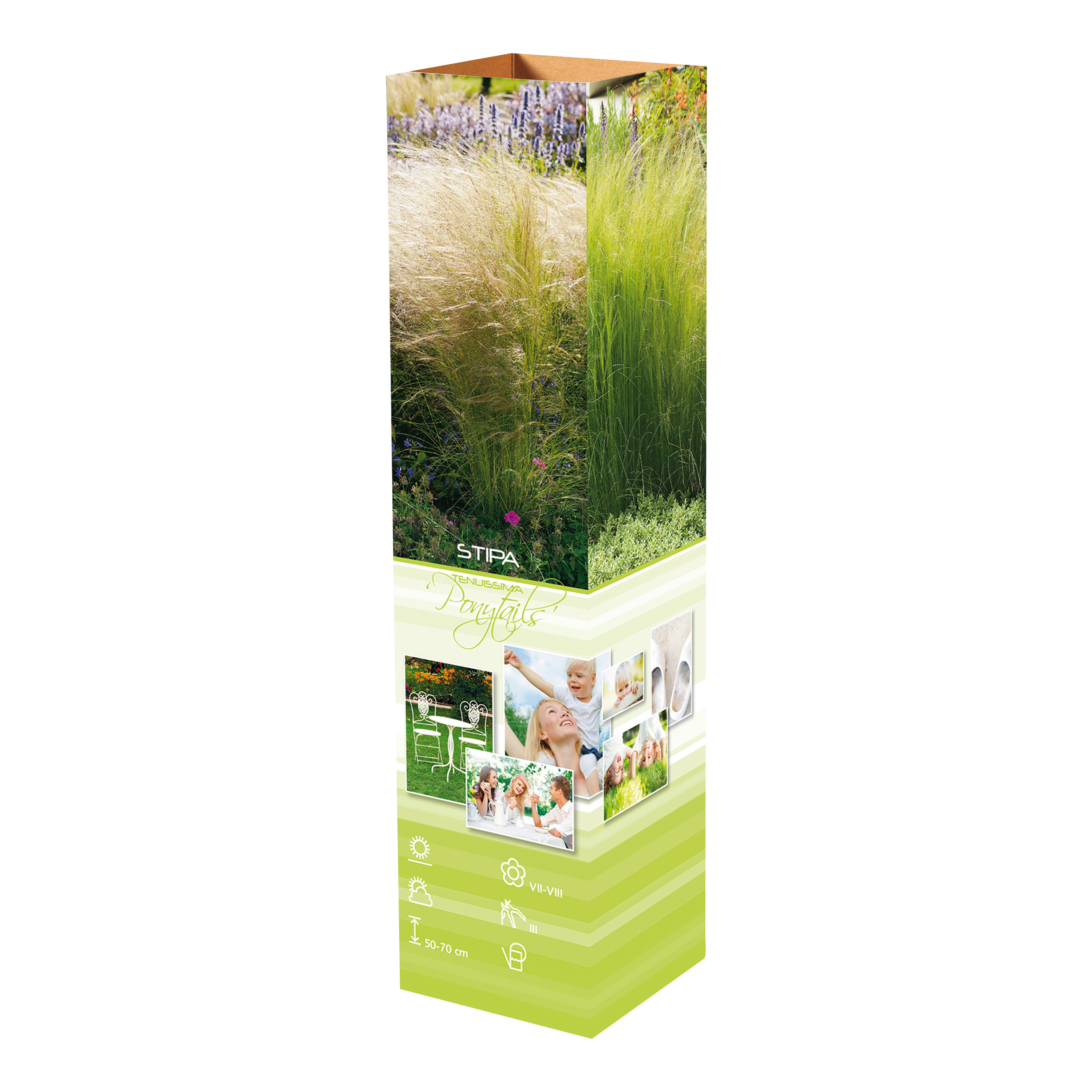 Lot de 8 graminées: 2 Stipa, 2 Pennisetum, 2 Cortaderia blanche, 2 Imperata