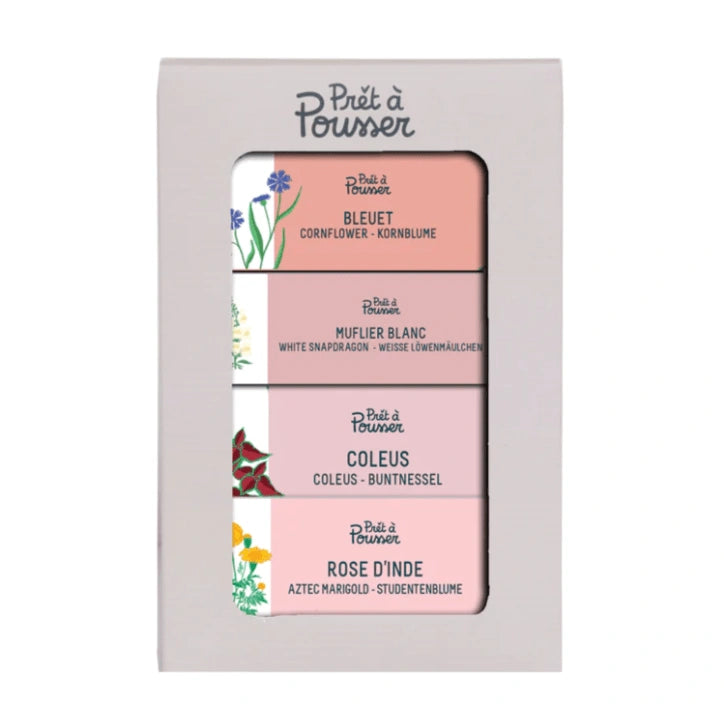 Coffret fleurs -  bleuet, muflier blanc, coleus, rose d’inde