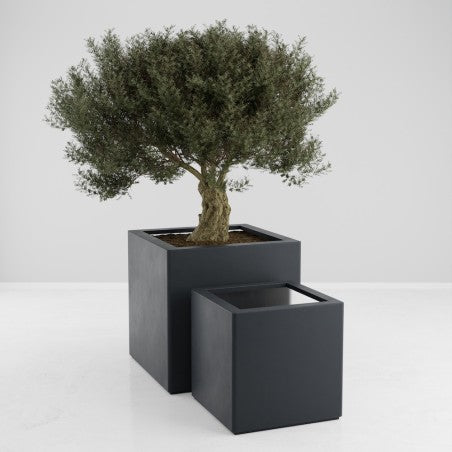 Jardinière carrée Eos - 800 x 800 x 800 mm - Gris anthracite