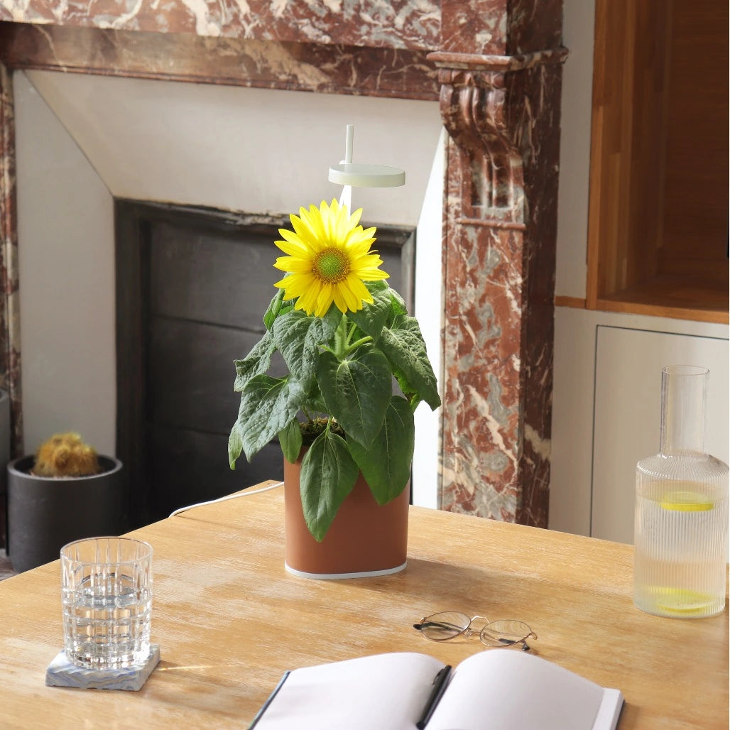 Pack 3 Nano  - Pack de 3 jardinières Nano avec lampes de croissance