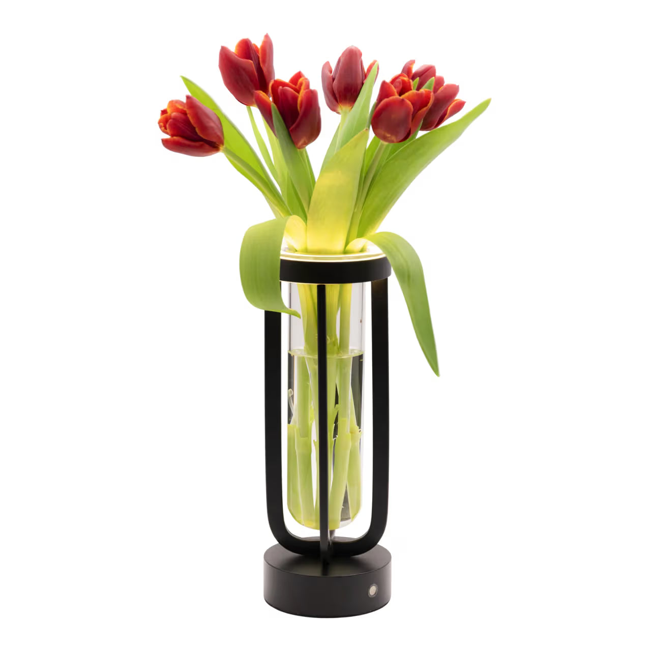 Pack 2 Lampes de table LED sans fil rechargeable en forme de vase Florence - noire - intérieur & extérieur