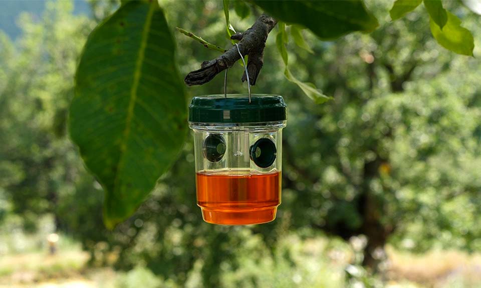 Piège à Insecte Solaire Moustiques et Guêpes - SUNPOWER TRAP