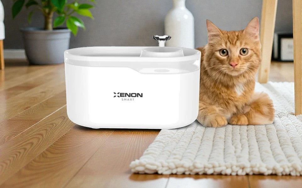 Fontaine à eau intelligente pour chat